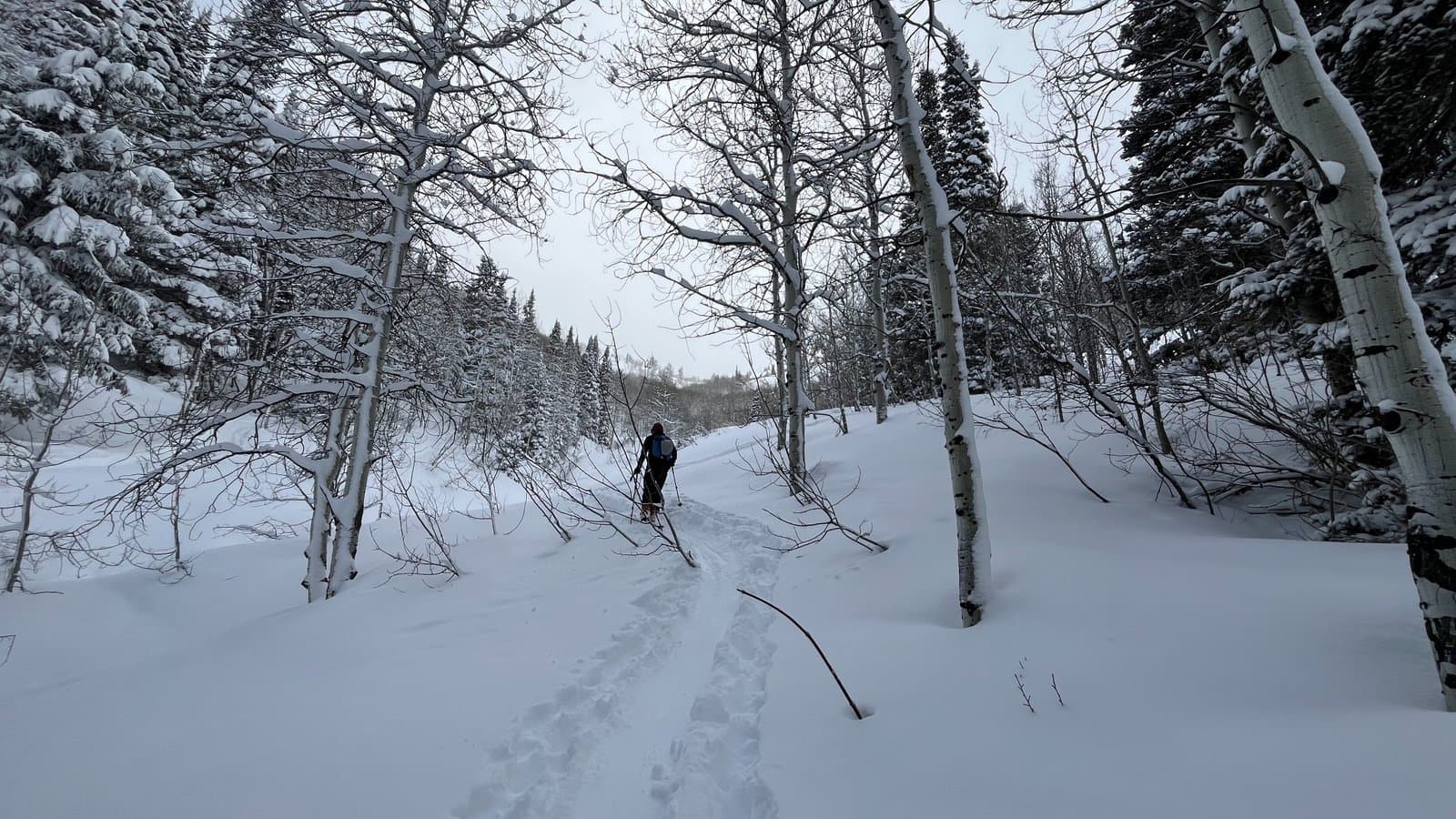 Kyle D on the Uphill